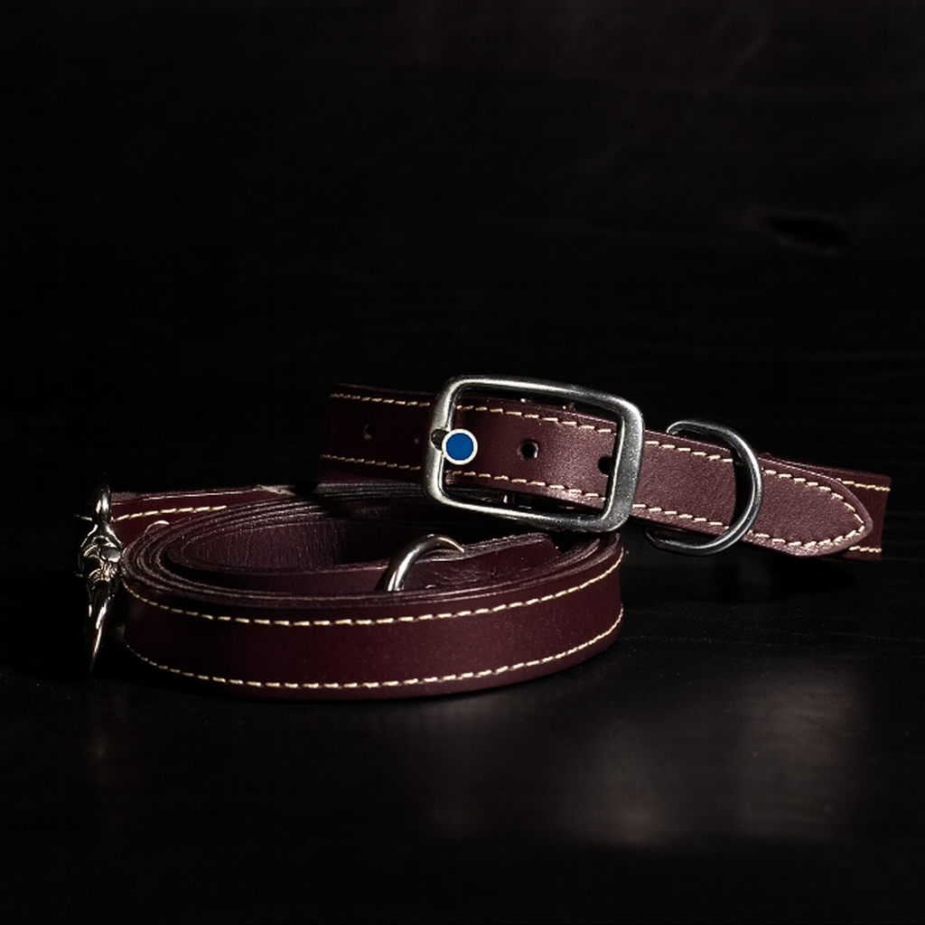 Trailblazer black leather dog leash and collar set