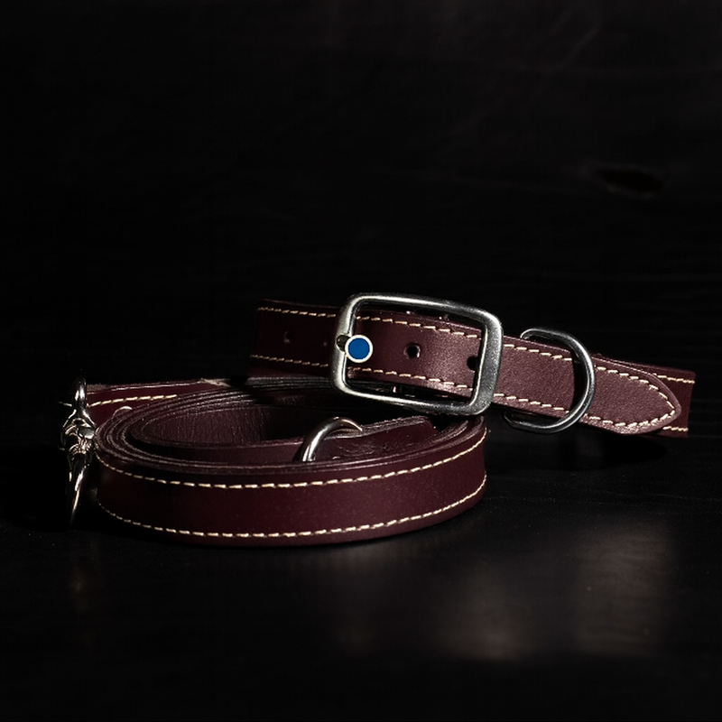 Trailblazer - Brown Premium Leather Dog Leash and Collar Set