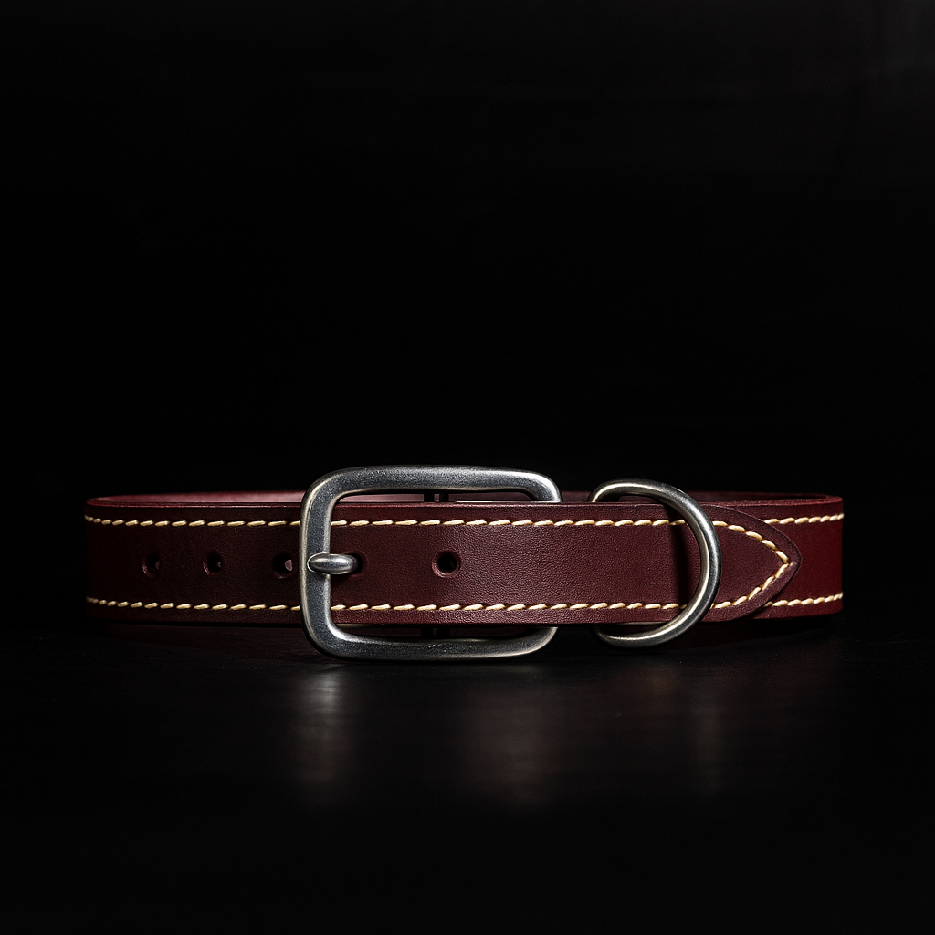 Trailblazer black stitched leather dog collar