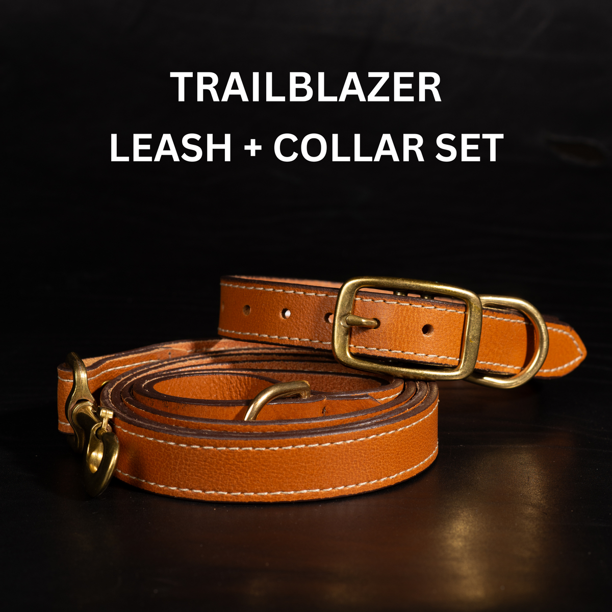 Trailblazer leather dog leash and collar set