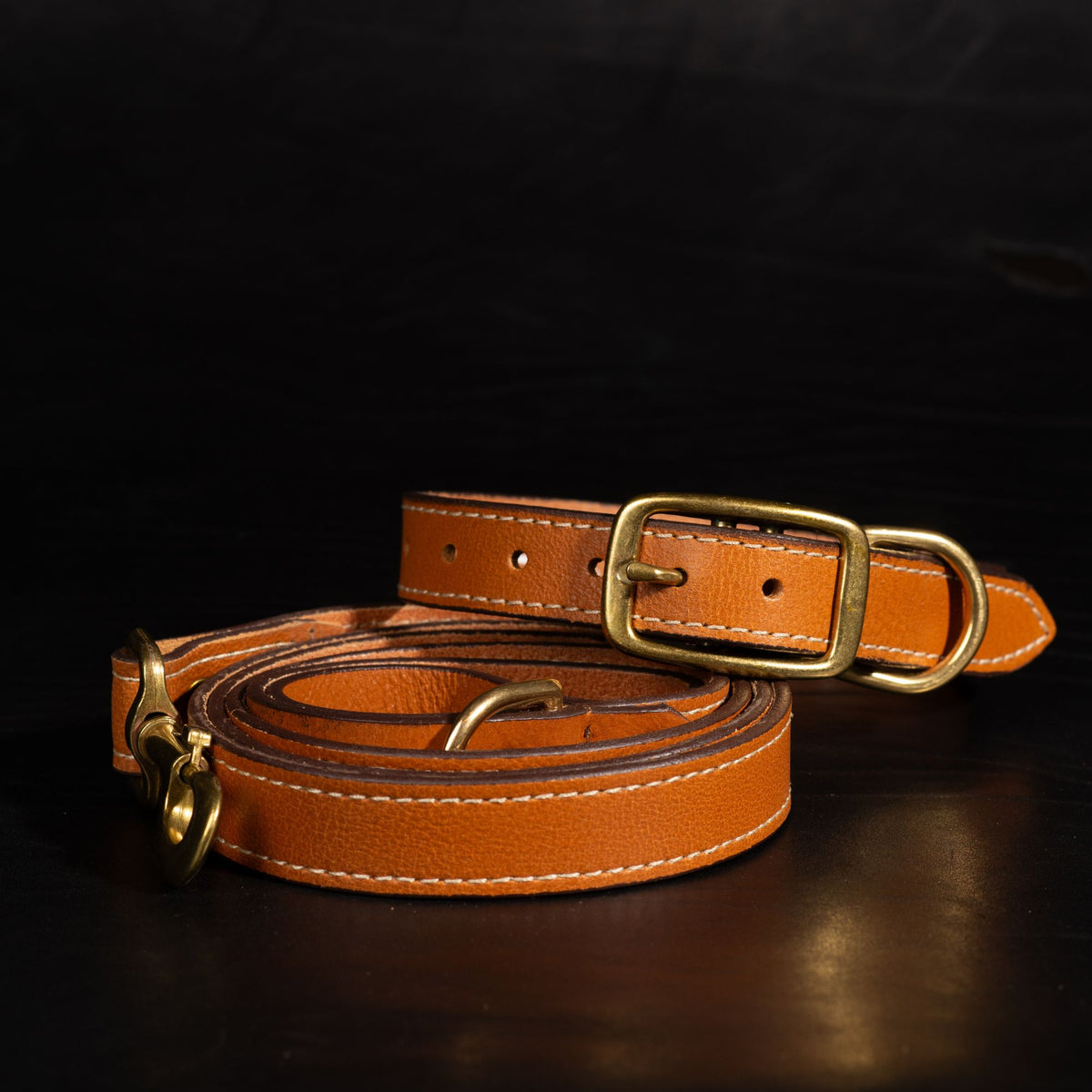 Trailblazer leather dog leash and collar set