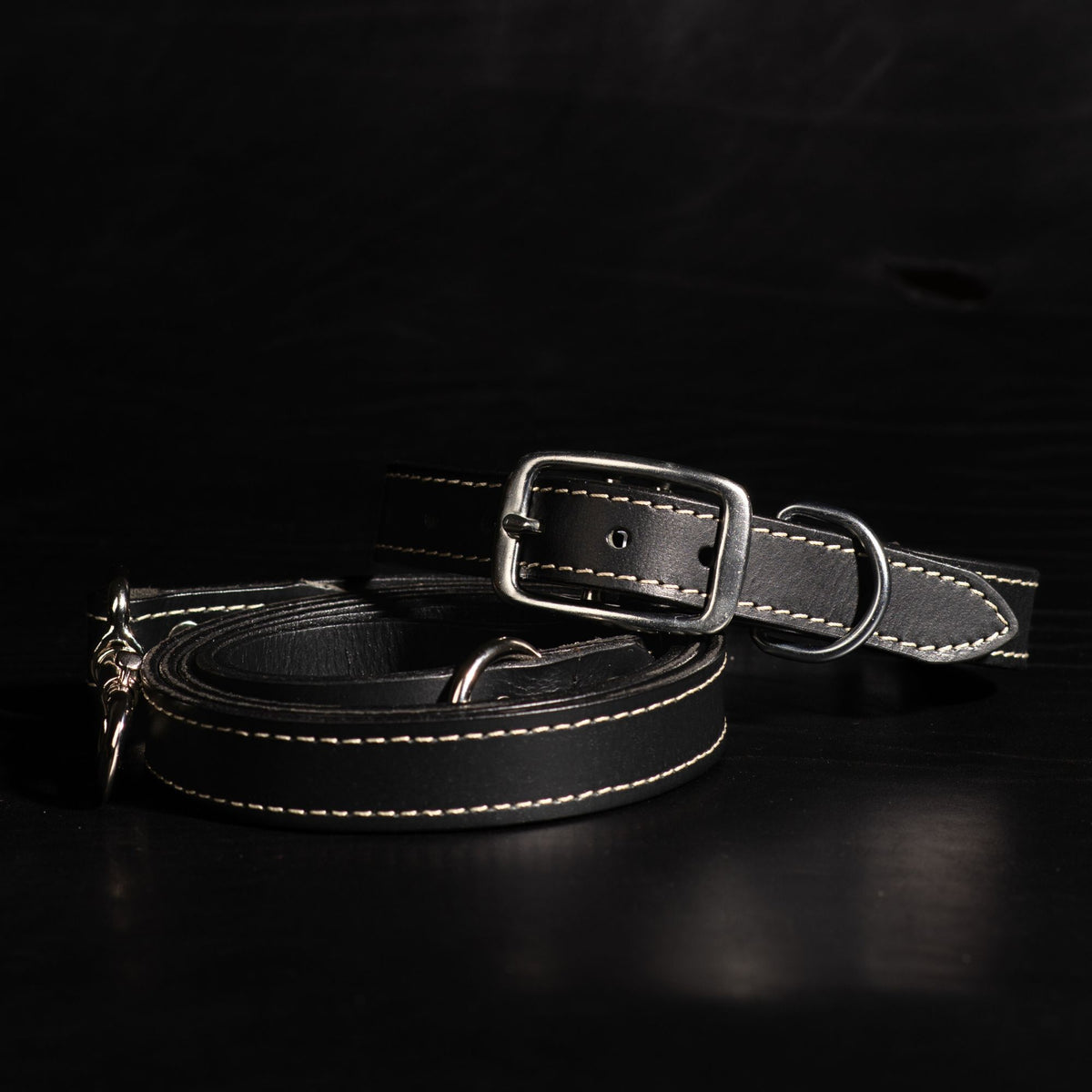 Trailblazer leather dog leash and collar set