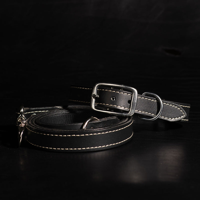 Trailblazer - Premium Leather Dog Leash and Collar Set