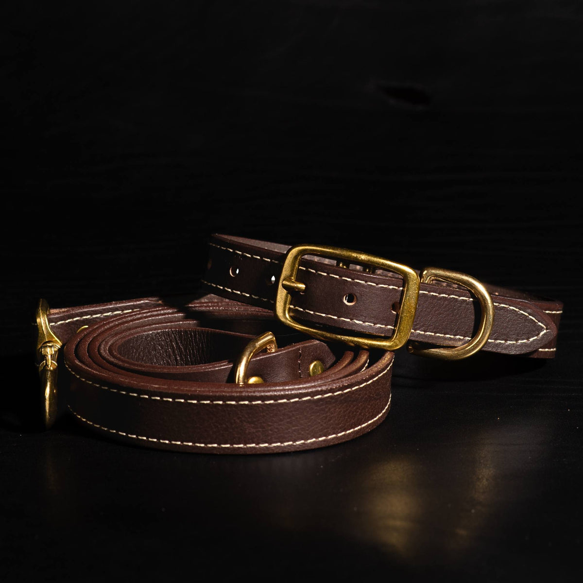 Trailblazer leather dog leash and collar set