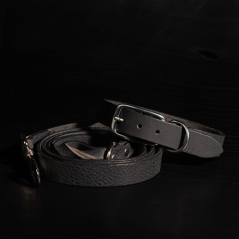 Rover Leather Dog Leash and Collar Set