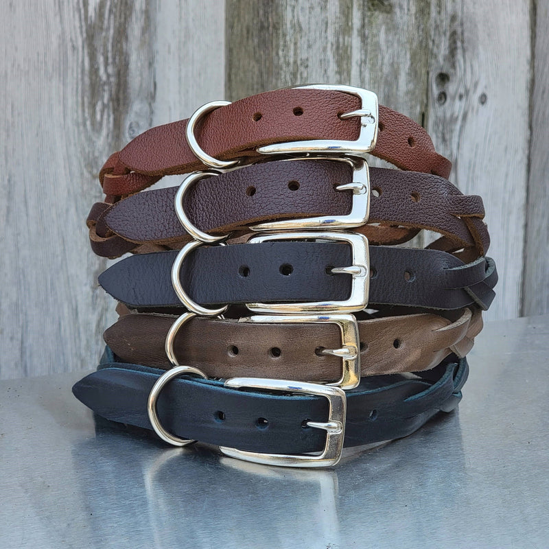 Wholesale Dog Collars Canada at Ella Hogarth blog